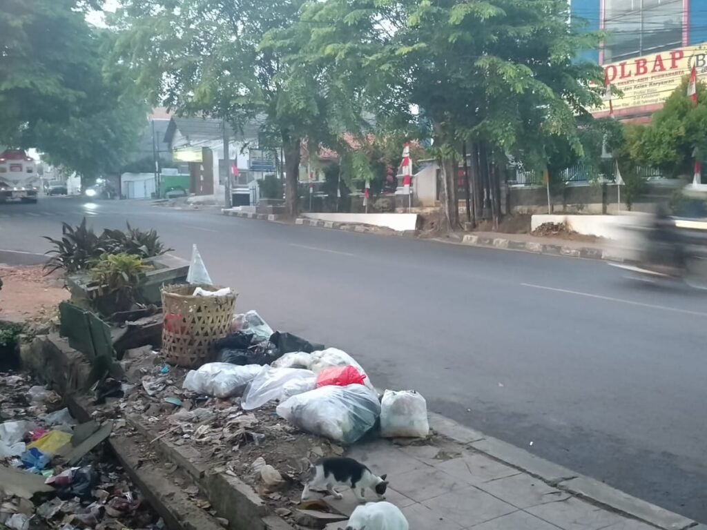Trotoar di Wilayah Ciseureuh Purwakarta Dikritik karena Pohon dan Sampah Mengganggu Pejalan Kaki