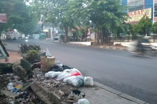 Trotoar di Wilayah Ciseureuh Purwakarta Dikritik karena Pohon dan Sampah Mengganggu Pejalan Kaki