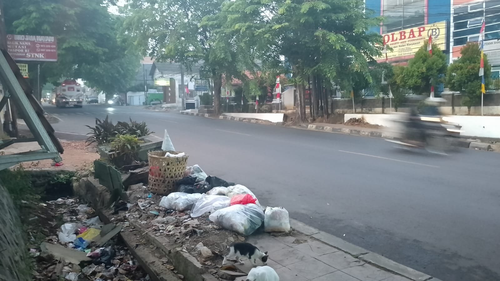 Trotoar di Wilayah Ciseureuh Purwakarta Dikritik karena Pohon dan Sampah Mengganggu Pejalan Kaki