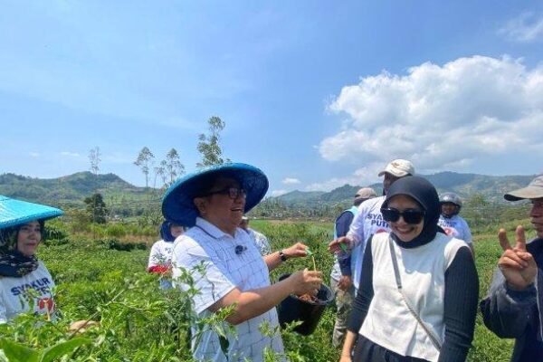 Calon Bupati Garut Syakur Amin Dorong Inovasi Pengolahan Sayuran untuk Stabilkan Harga dan Tingkatkan Kesejahteraan Petani