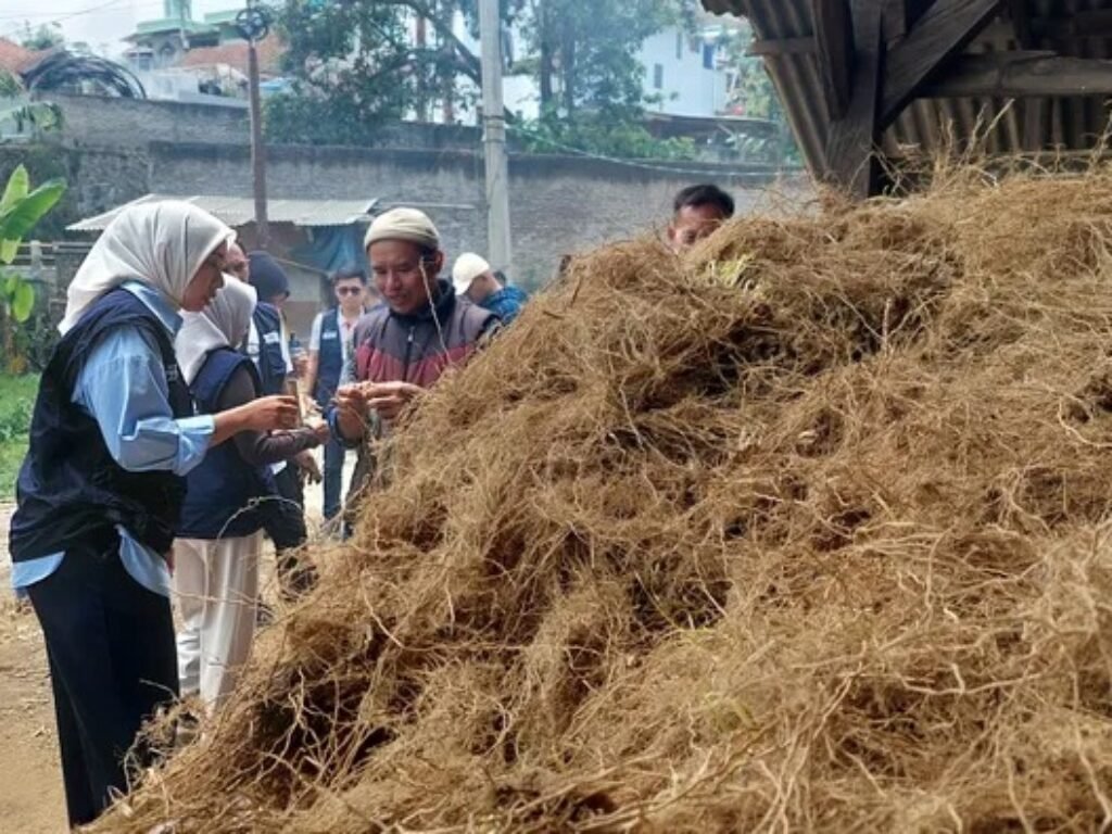 Putri Karlina Dorong Pemanfaatan Akar Wangi di Garut, Dorong Solusi untuk Keluhan Petani