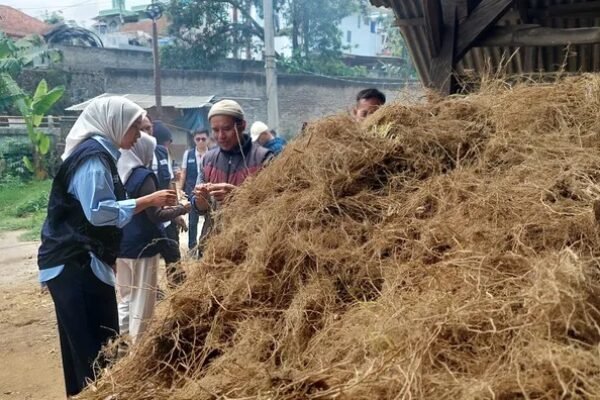 Putri Karlina Dorong Pemanfaatan Akar Wangi di Garut, Dorong Solusi untuk Keluhan Petani