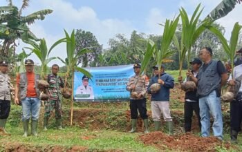 Camat Cipeundeuy Dukung Penanaman Kelapa Hibrida di Desa Ciharashas, Dorong Peningkatan Ekonomi Masyarakat