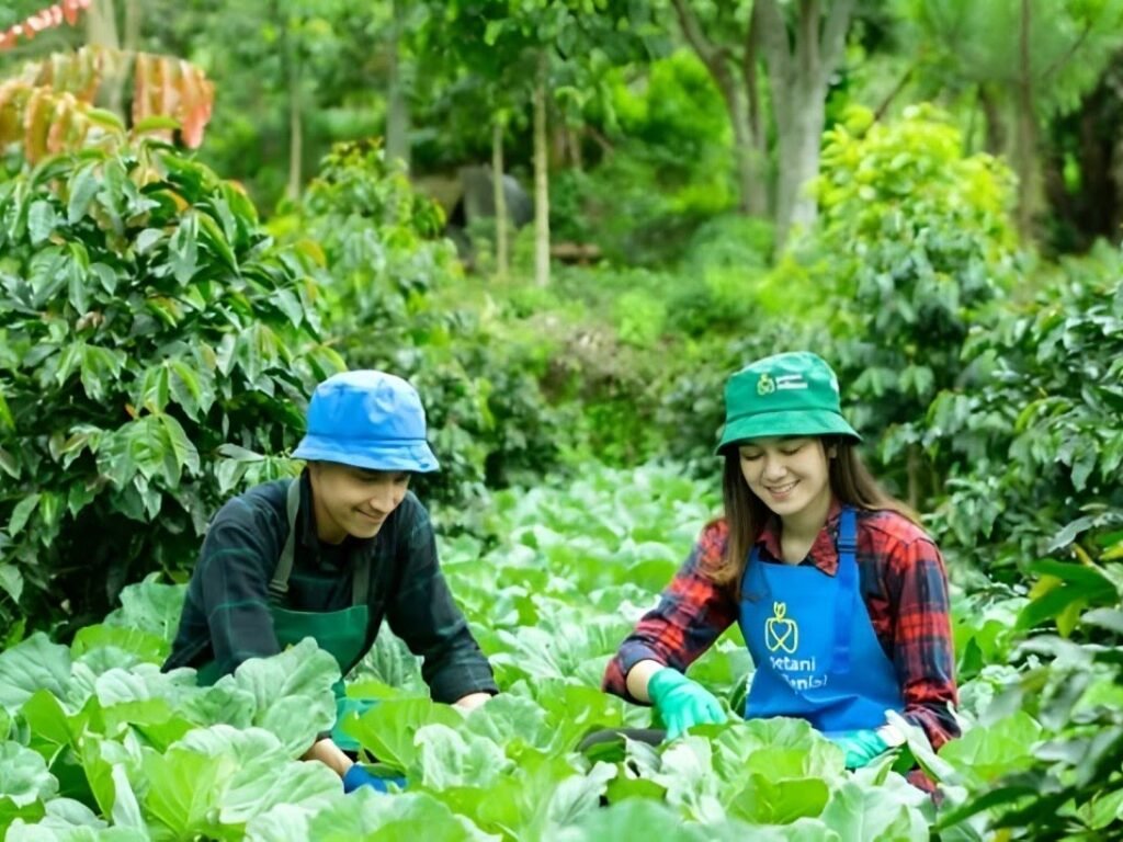 Kementan Buka Pendaftaran Program Petani Milenial Targetkan Pendapatan Lebih dari Rp10 Juta Per Bulan “Ini Cara Daftarnya !”