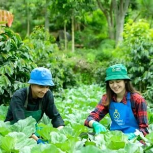 Kementan Buka Pendaftaran Program Petani Milenial Targetkan Pendapatan Lebih dari Rp10 Juta Per Bulan "Ini Cara Daftarnya !"