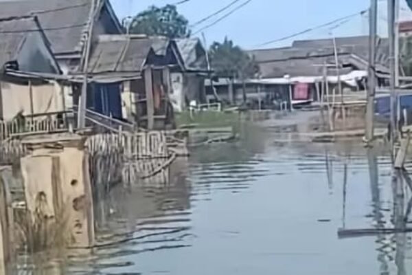 Warga Mengaku Banjir Rob Terparah yang Rendam Dusun Kuala Jaya di Lampung Selatan