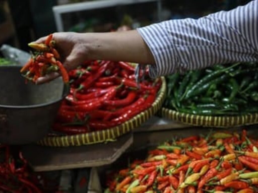 Harga Pangan Fluktuatif: Cabai Rawit Merah Naik, Daging Ayam dan Telur Turun