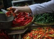 Harga Pangan Fluktuatif: Cabai Rawit Merah Naik, Daging Ayam dan Telur Turun