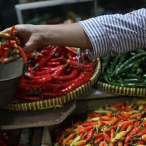 Harga Pangan Fluktuatif: Cabai Rawit Merah Naik Jadi Rp40.030 per kilogram (kg). Daging Ayam dan Telur Turun.