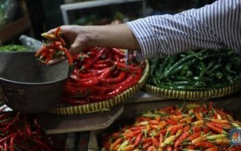 Harga Pangan Fluktuatif: Cabai Rawit Merah Naik Jadi Rp40.030 per kilogram (kg). Daging Ayam dan Telur Turun.
