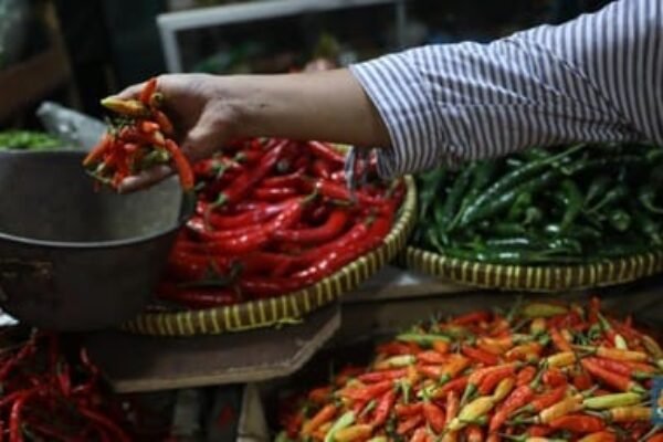 Harga Pangan Fluktuatif: Cabai Rawit Merah Naik, Daging Ayam dan Telur Turun