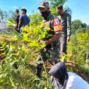 Wujudkan Komitmen Jaga Lingkungan dalam Peringati Hari Juang Kartika TNI-AD, Kodim 0611/Garut Gelar Penanaman Pohon di Talegong