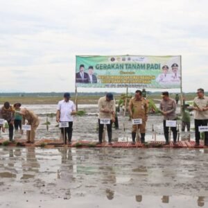 Menteri Imigrasi dan Wamen Pertanian Dukung Swasembada Pangan, Tanam Padi Bareng di area persawahan Desa Kentong, Kecamatan Cepu, Blora