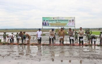 Menteri Imigrasi dan Wamen Pertanian Dukung Swasembada Pangan, Tanam Padi Bareng di area persawahan Desa Kentong, Kecamatan Cepu, Blora