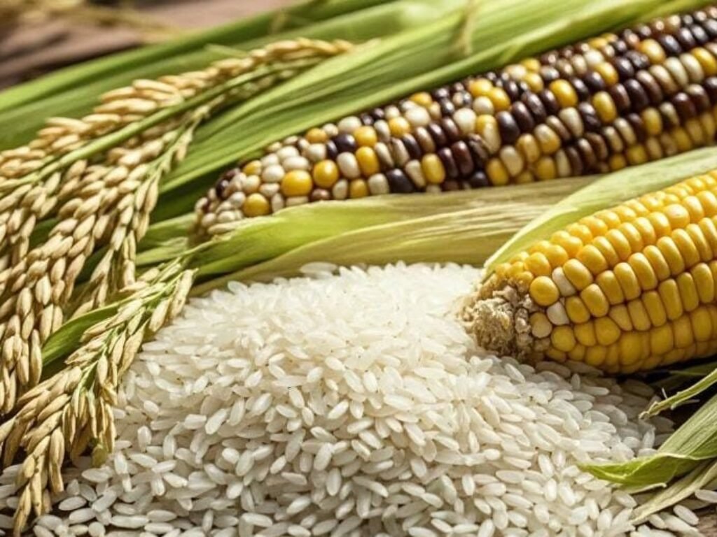 Mendes PDT Tekankan Pemanfaatan Dana Desa Minimal 20% untuk Ketahanan Pangan