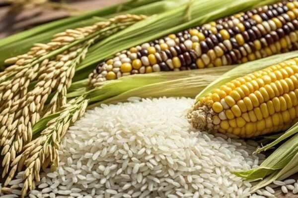 Mendes PDT Tekankan Pemanfaatan Dana Desa Minimal 20% untuk Ketahanan Pangan