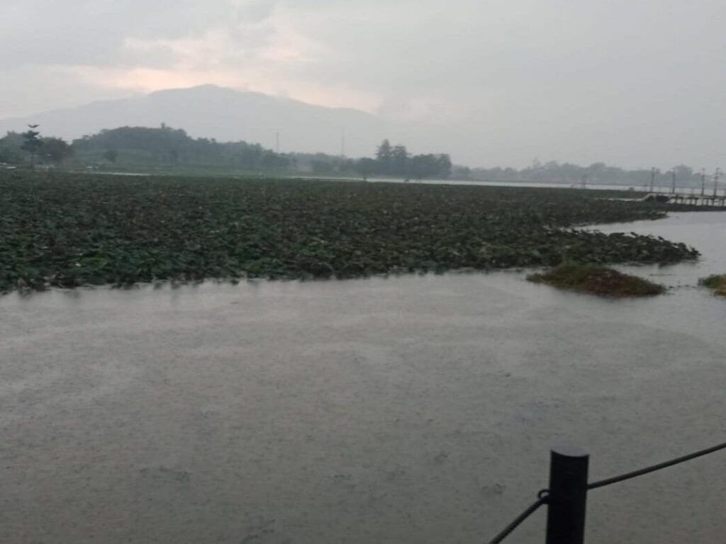 Kepala UPT Situ Bagendit Minta Modernisasi Alat untuk Atasi Bunga Liar