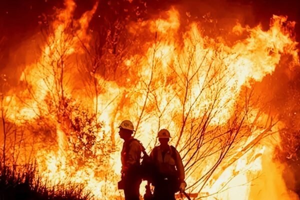 Kebakaran Hutan Mengerikan Hanguskan Los Angeles Tewaskan 24 Orang, Ancaman Angin Kencang Semakin Memburuk