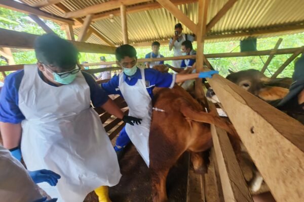 Cegah Penyebaran PMK dan Jaga Ketahanan Ekonomi Peternakan Pj Bupati Garut Pimimpin Gerakan Ring Vaksinasi PMK di Desa Cilampuyang-Malangbong