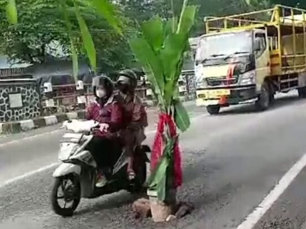Warga Tanam Pohon Pisang di Lubang Jalan Padalarang-Cianjur Sebagai Tanda Bahaya