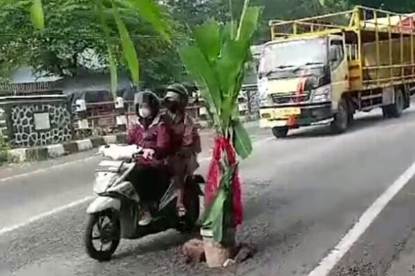 Warga Tanam Pohon Pisang di Lubang Jalan Padalarang-Cianjur Sebagai Tanda Bahaya