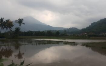 Banjir di Banyuresmi Garut, Rendam Permukiman dan Lahan Pertanian, Akibat Hujan deras yang mengguyur Kecamatan Banyuresmi