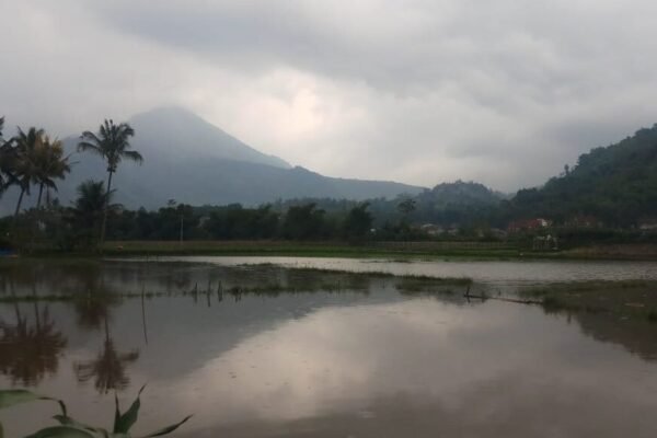 Banjir di Banyuresmi Garut, Rendam Permukiman dan Lahan Pertanian