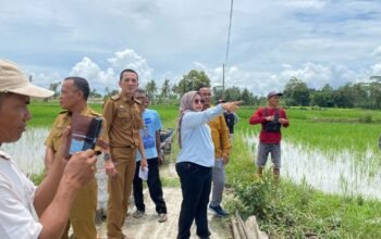DPRD Lampung Selatan Kawal Aspirasi Warga Desa Kalirejo, PLN Segera Survei Pemasangan Listrik di Dusun Karang Jaya dan Dusun Kaliliak 4.