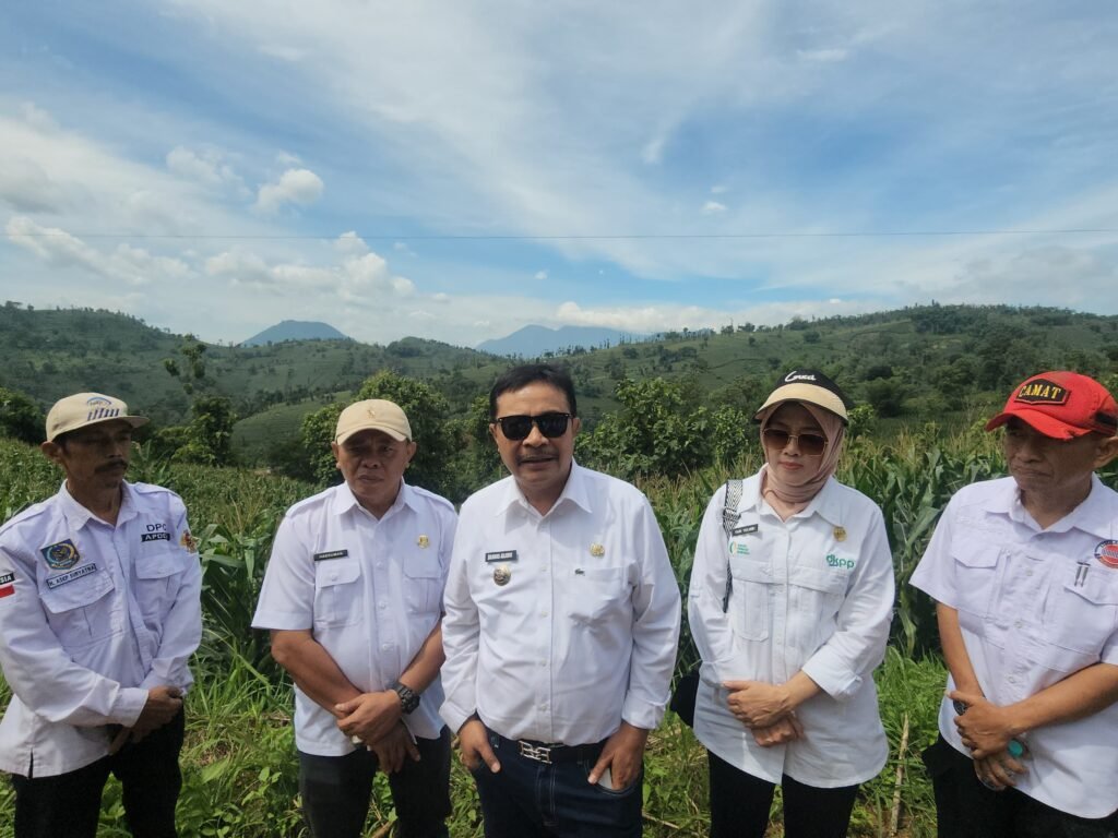 Persiapan Panen Raya Jagung di Desa Pengeureunan, Pj. Bupati Garut Targetkan Produksi 513 Ribu Ton