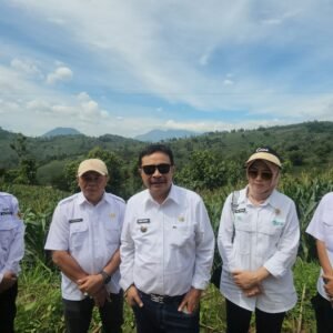 Persiapan Panen Raya Jagung di Desa Pengeureunan, Kecamatan Balubur Limbangan, Pj. Bupati Garut Targetkan Produksi 513 Ribu Ton