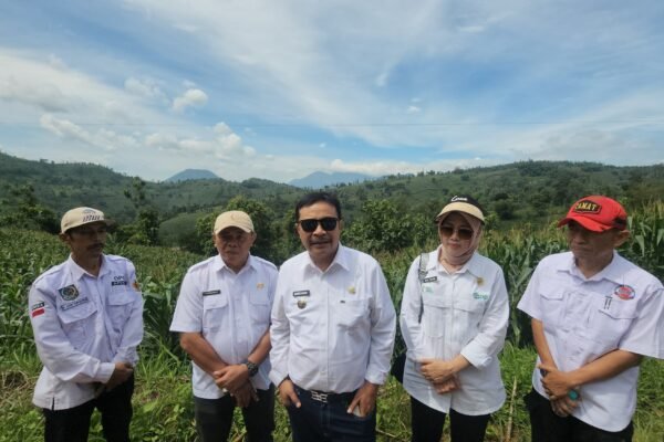 Persiapan Panen Raya Jagung di Desa Pengeureunan, Pj. Bupati Garut Targetkan Produksi 513 Ribu Ton