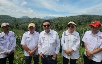 Persiapan Panen Raya Jagung di Desa Pengeureunan, Kecamatan Balubur Limbangan, Pj. Bupati Garut Targetkan Produksi 513 Ribu Ton