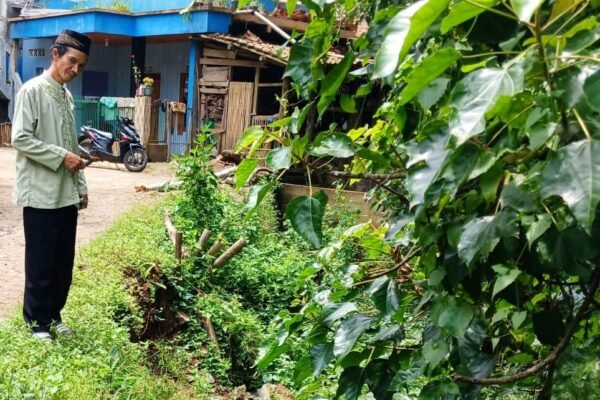 Hujan Deras Rusak Infrastruktur dan Lahan Pertanian di Desa Cihaurkuning Malangbong