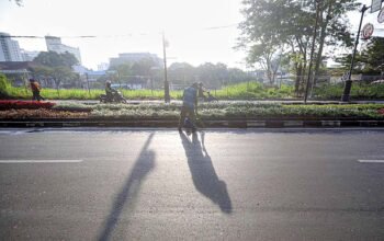 Palestine Walk, Simbol Solidaritas dan Persahabatan yang Akan Dipercantik