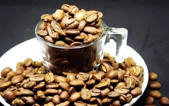Kabupaten Bandung Surga Kopi Arabika Jawa Barat Diakui Dunia