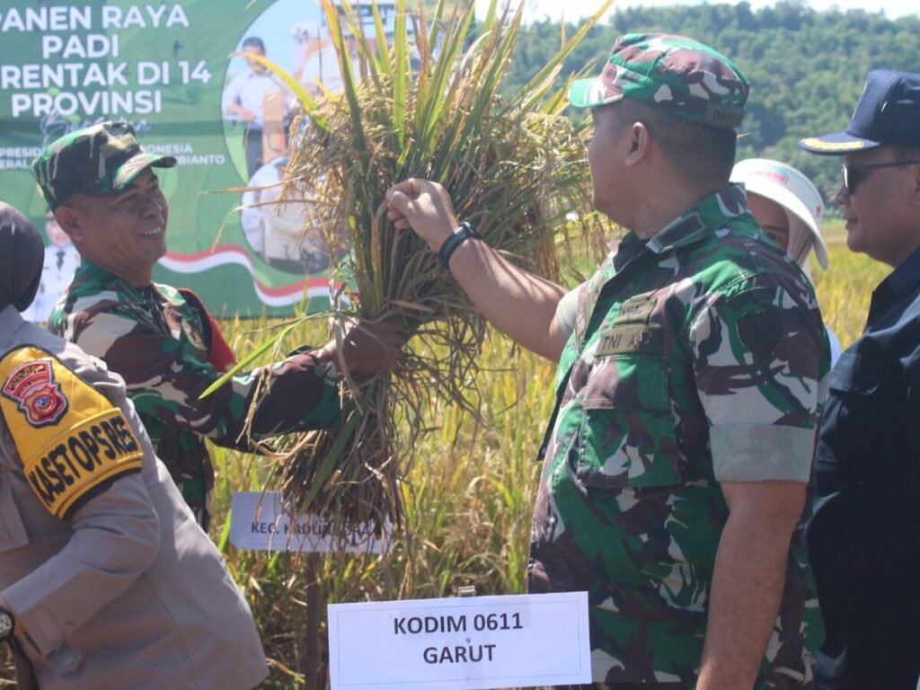 Kodim 0611 Garut Gelar Panen Raya Padi Serentak, Dukung Upaya Percepatan Swasembada Pangan Nasional