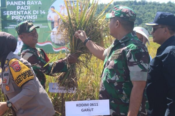 Kodim 0611 Garut Gelar Panen Raya Padi Serentak, Dukung Upaya Percepatan Swasembada Pangan Nasional