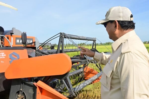 Petani Adalah Pahlawan Pangan, Kebijakan Masuk Akal Lebih Penting Daripada Terlalu Pintar