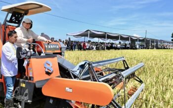 Panen Raya Padi di Majalengka Ciri Peningkatan Hasil Pertanian