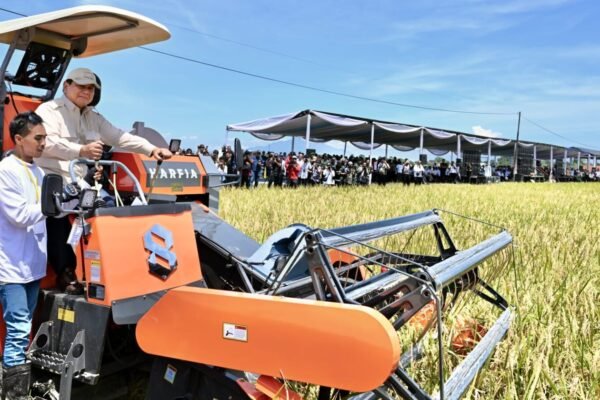 Panen Raya Padi di Majalengka Tandai Keberhasilan dan Dorong Peningkatan Produktivitas Pertanian