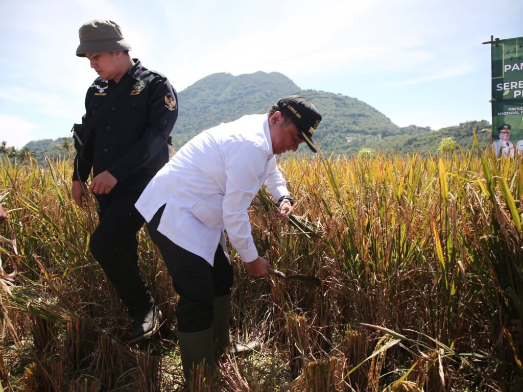 Bupati Garut Panen Raya Padi Secara Daring Bersama Presiden Republik Indonesia, Tekankan Pentingnya Perhatian Terhadap Petani