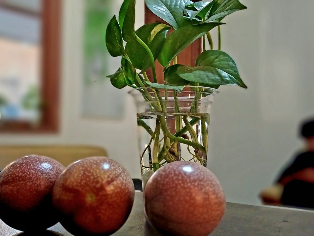 Khasiat Buah Markisa Ampuh Menurunkan Berat Badan