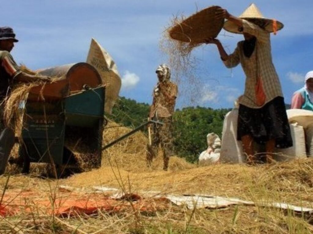 Penyerapan Gabah Tertinggi Secara Nasional Diraih Bulog Cirebon
