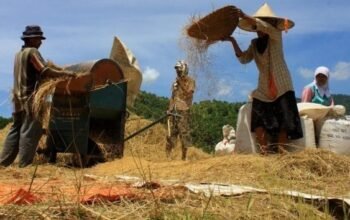 Penyerapan Beras Tertinggi Secara Nasional Diraih Bulog Cirebon