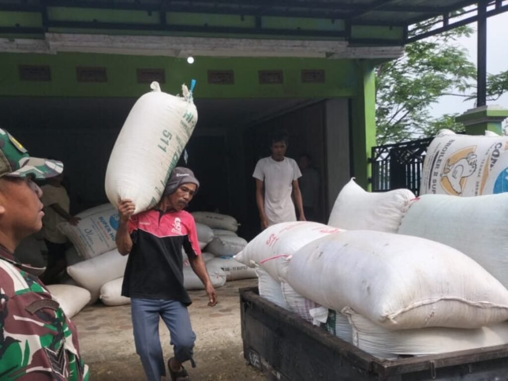 Babinsa Koramil Kadungora Tinjau Penyerapan Gabah Petani Dapat Apresiasi dari Kades Cipareuan