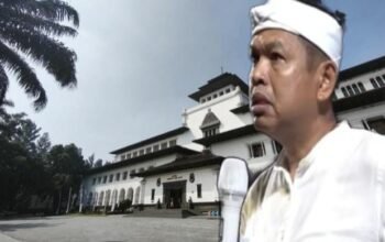 Diblik populeritas kdm