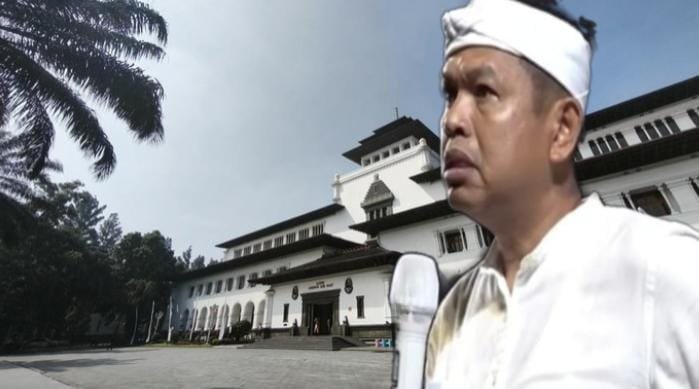 Diblik populeritas kdm