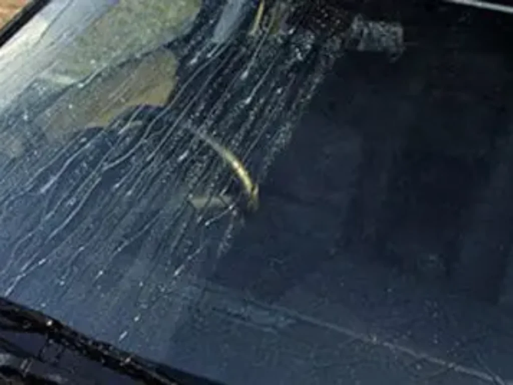 Cara Mencegah Kaca Mobil Berjamur