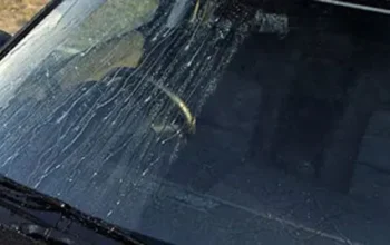 Cara Mencegah Kaca Mobil Berjamur