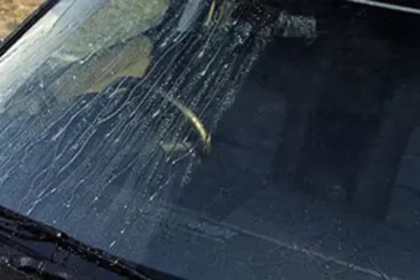 Cara Mencegah Kaca Mobil Berjamur